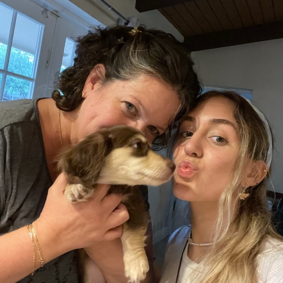 Meet your Posher, Alana - Picture 3 of 4